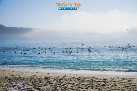 Carmel River State Beach