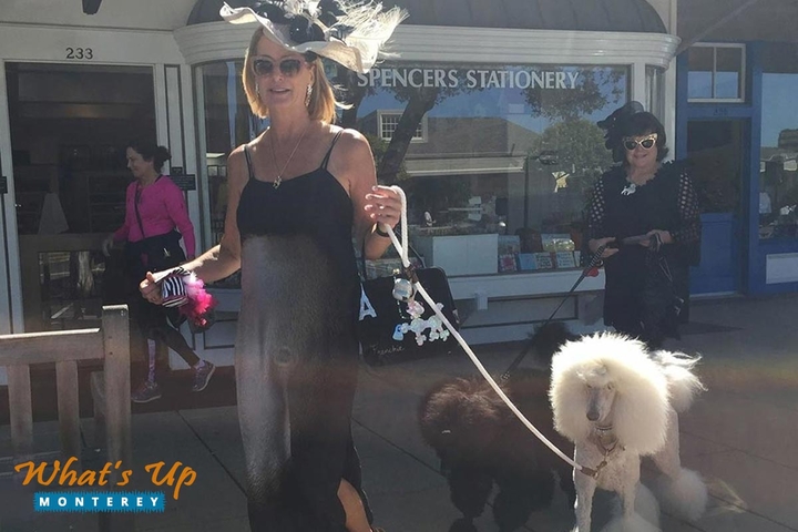 168澳洲五查询结果号码体彩 Dog-Friendly Carmel-by-the-Sea