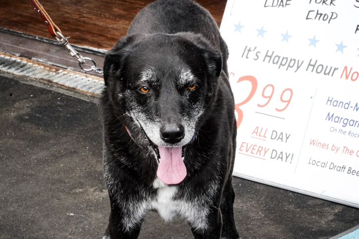 Abalonetti Bar and Grill