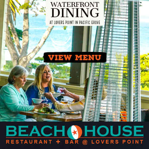 Pacific Grove Adventures: Kayaks, Surrey, Paddle Board and Snorkel Rental