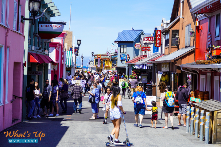 Monterey Weekend Getaway: The Ultimate 3-Day Itinerary